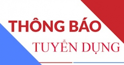 Tuyển dụng tháng 4/2025
